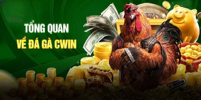 Thông tin sơ lược về sảnh chọi gà đang được phát hành tại Cwin