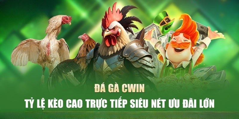 Đá gà Cwin cung cấp nhiều hình thức cá cược với tỉ lệ cạnh tranh
