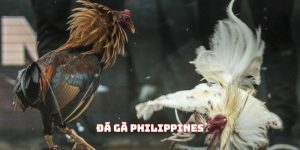 Đá gà Philippines