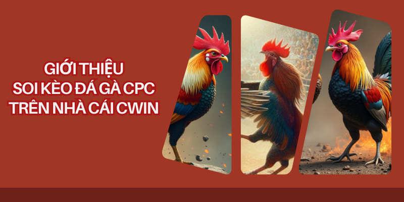 Đá gà CPC phổ biến trên nhà cái CWIN với sự kịch tính
