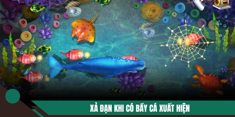 Mẹo chơi bắn cá xả đạn khi có bầy cá xuất hiện